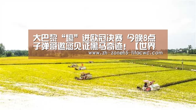 世界杯买球网站