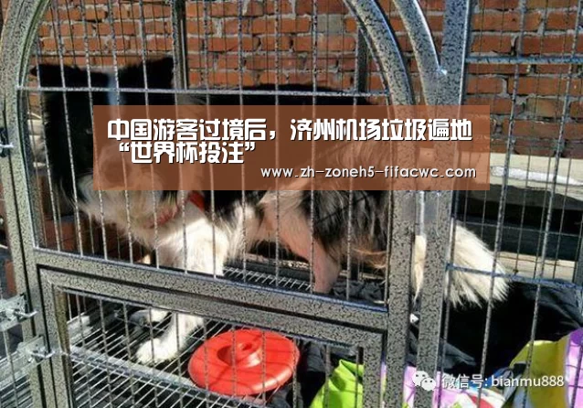 世界杯外围买球官网