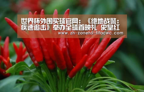世界杯外围买球官网:《绝地战警:疾速追击》举办全球首映礼 史皇红毯开车燃爆全场(图1) 世界杯投注