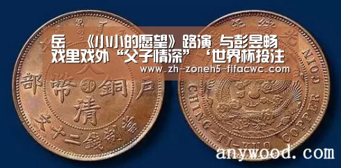 世界杯外围买球官网