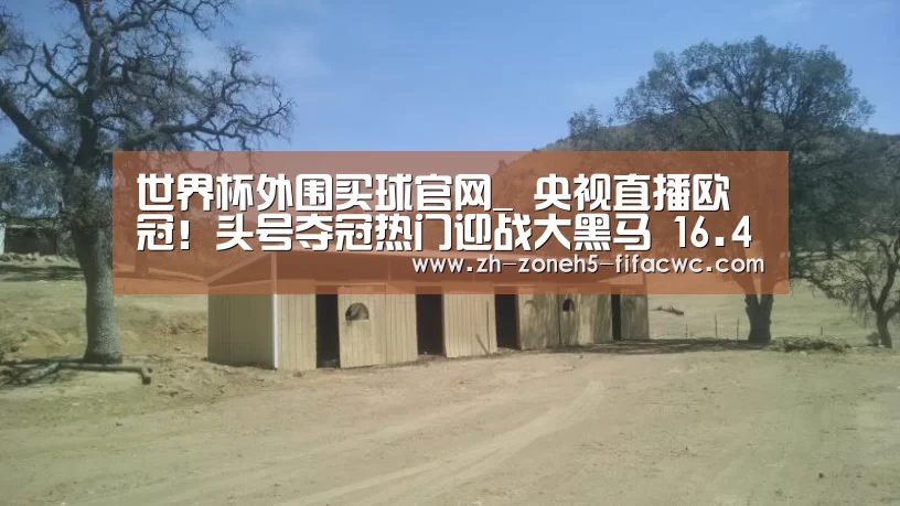 世界杯外围买球官网_
央视直播欧冠!头号夺冠热门迎战大黑马 16.4亿欧超级对决!(图2) 世界杯外围买球官网