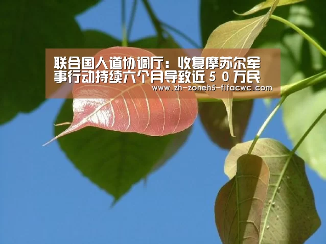 联合国人道协调厅:收复摩苏尔军事行动持续六个月导致近50万民众逃离家园“世界杯投注”(图4) 世界杯投注