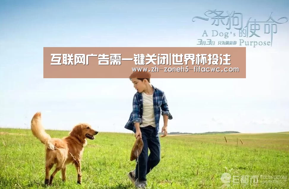 互联网广告需一键关闭|世界杯投注(图3) 世界杯外围买球官网