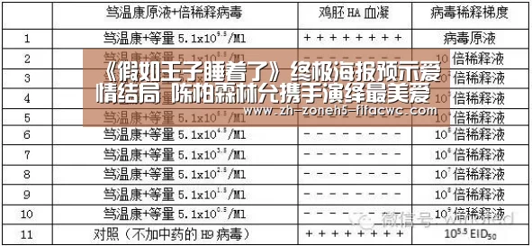 世界杯买球网站
