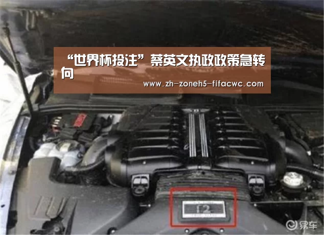 “世界杯投注”蔡英文执政政策急转向(图1) 世界杯买球网站