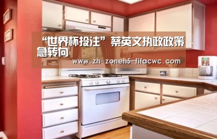“世界杯投注”蔡英文执政政策急转向(图2) 世界杯买球网站