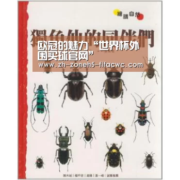 欧冠的魅力“世界杯外围买球官网”(图2) 世界杯买球网站